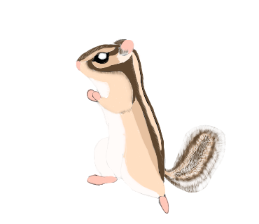 リスのしっぽのtwitterイラスト検索結果 リスのしっぽのtwitterイラスト検索結果