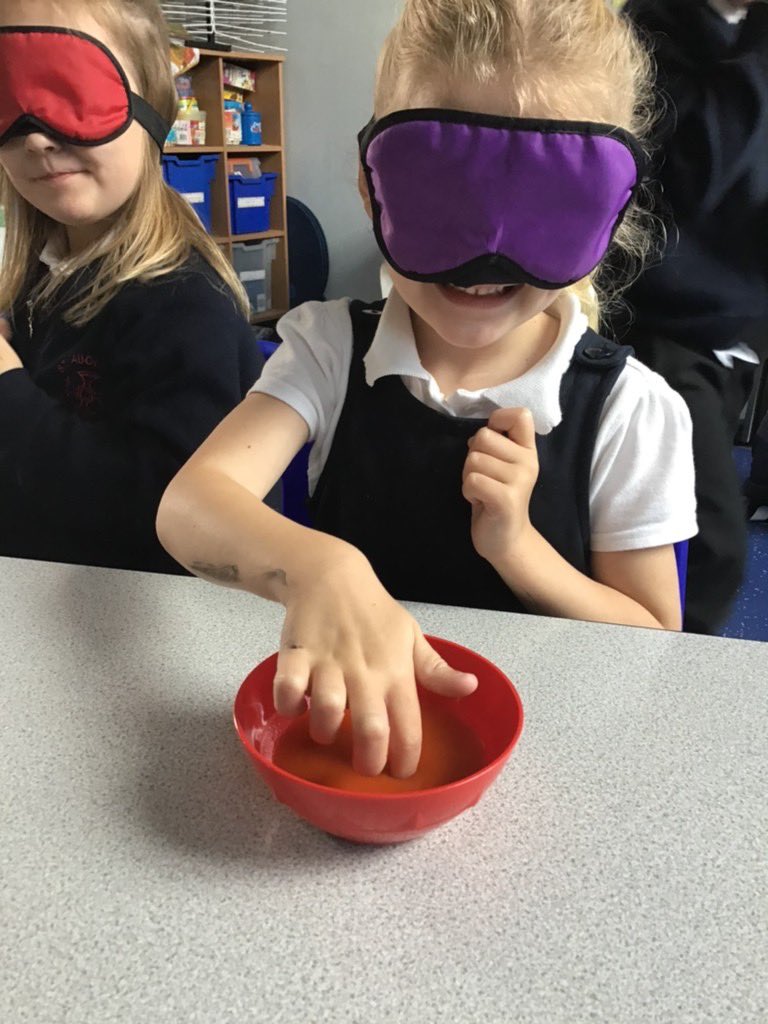 MissPayneStAug's tweet photo. Super scientists in year 1 have had lots of fun exploring their 5 senses this afternoon. ππππ»πβπ»@AspinMiss @MrsOBrienStAug #staugscience https://t.co/77EH2bNFEK