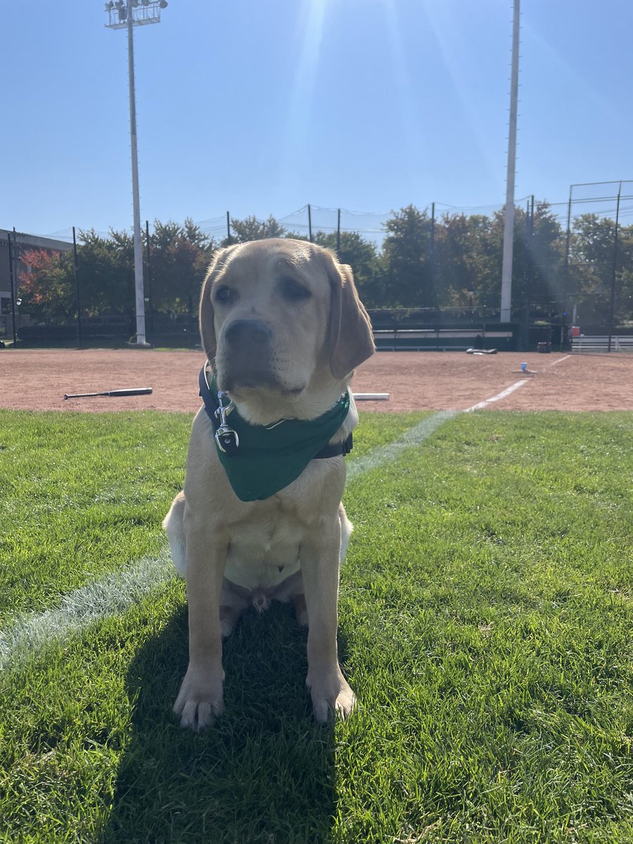 On Monday Officer Jones came over to teach us our self defense class! We are smarter, stronger and better!! #safetyfirst #govikes 💚💪🏼<a href="/CSUpd/">CSUpd</a>