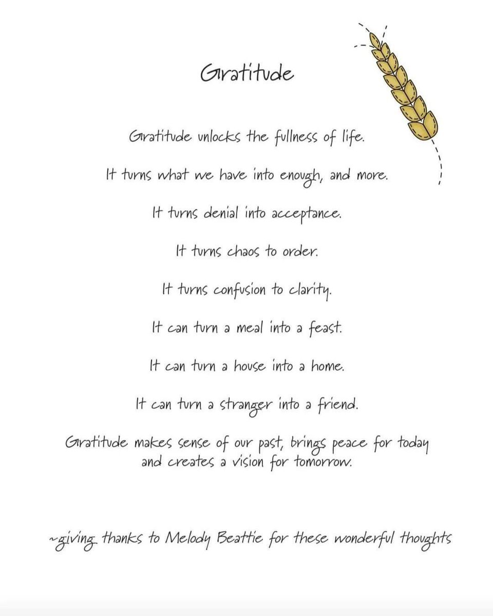 CelticWellies's tweet photo. Gratitude is our Wellness habit of the month. Daily gratitude practice enhances our mental health but also does so much more. https://t.co/ganHjYR0nv