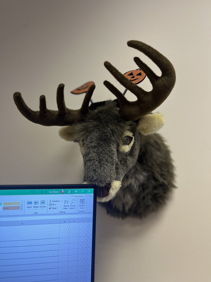 kerriwalker30's tweet photo. This is not a popular all year round friend in our office but I love him! He’s all festive for Halloween and watching me work. Can’t wait for his red nose and tinsel! 🥰 Petition for removal denied! #
#tackydecor #officepet #festive https://t.co/EvAR4RG7Vj