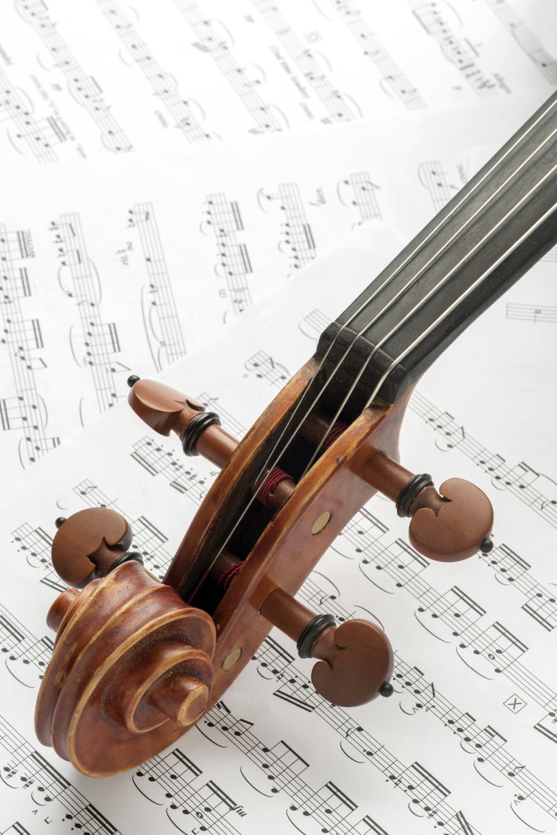 The District 196 Foundation tweet media