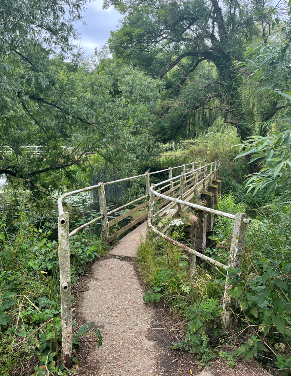 CCInfraServices's tweet photo. NEWTON HILL a working heritage mill, now fulfilled with a refreshed new look! Working on behalf of @DorsetCouncilUK, we refurbished the railings. Case study here: https://t.co/zl3QO976rc
#ICATS #paintingworks #industrialcoating #railingrefurbishment #structurerefurbishment https://t.co/oNbtObdBbI