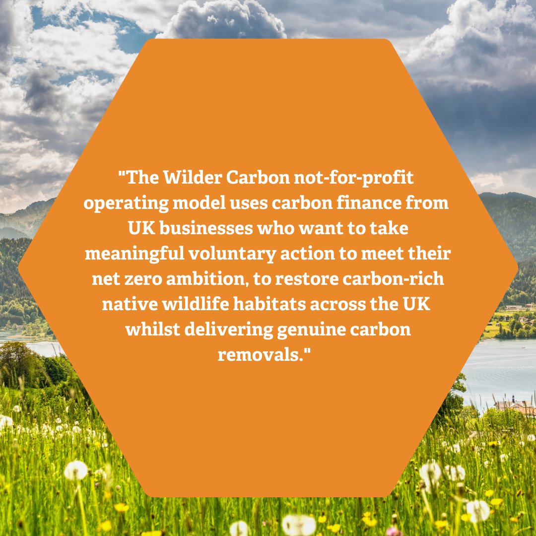 WilderCarbon's tweet photo. Find out more - https://t.co/7K1lG8jHbz
Apply to become an Approved Buyer - https://t.co/AWDovkB0nd
#natureandclimate #naturebasedsolutions #approvedbuyers #highqualitycarbon https://t.co/jdWY0YhQV5