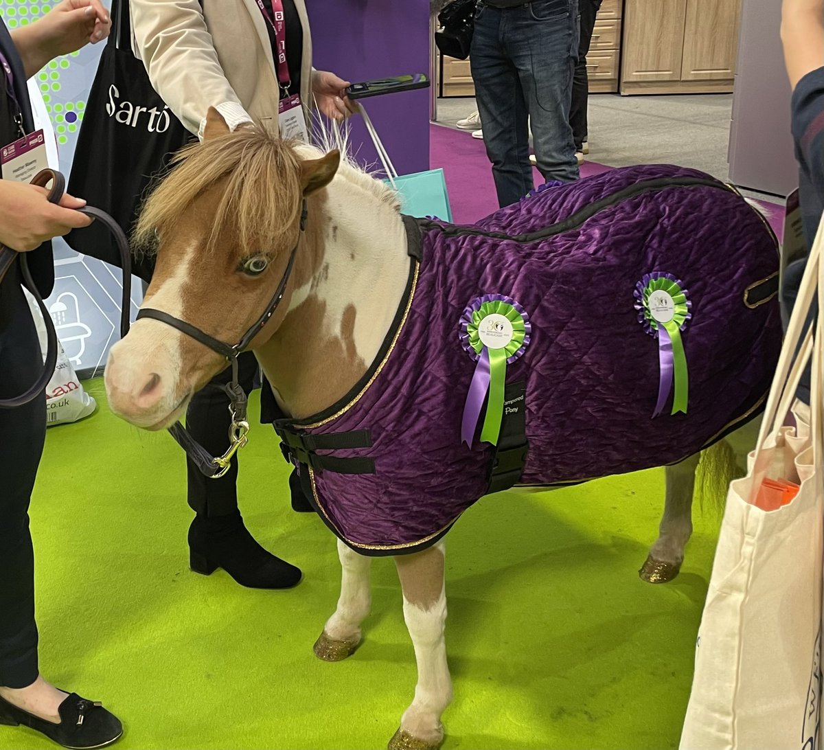 Suenewsome7's tweet photo. Care Ponies ♥️ https://t.co/QM2mkltXjc