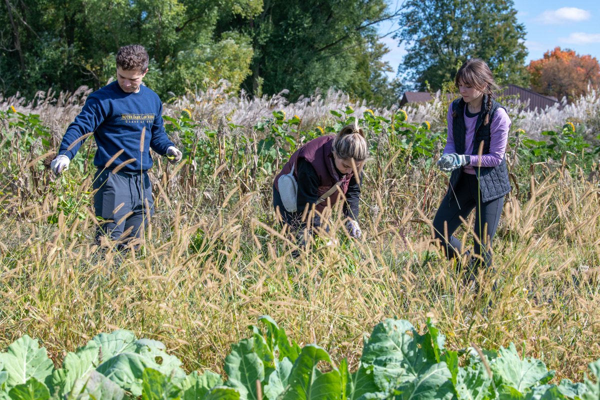 A commitment to service is key to becoming a #DifferentKindOfLawyer.

This past Saturday, ND Law students spent time volunteering with <a href="/GreenBridgeGrow/">Green Bridge Growers</a>, a nonprofit farm that grows food while providing skill-matched jobs for underserved young adults on the autism spectrum.