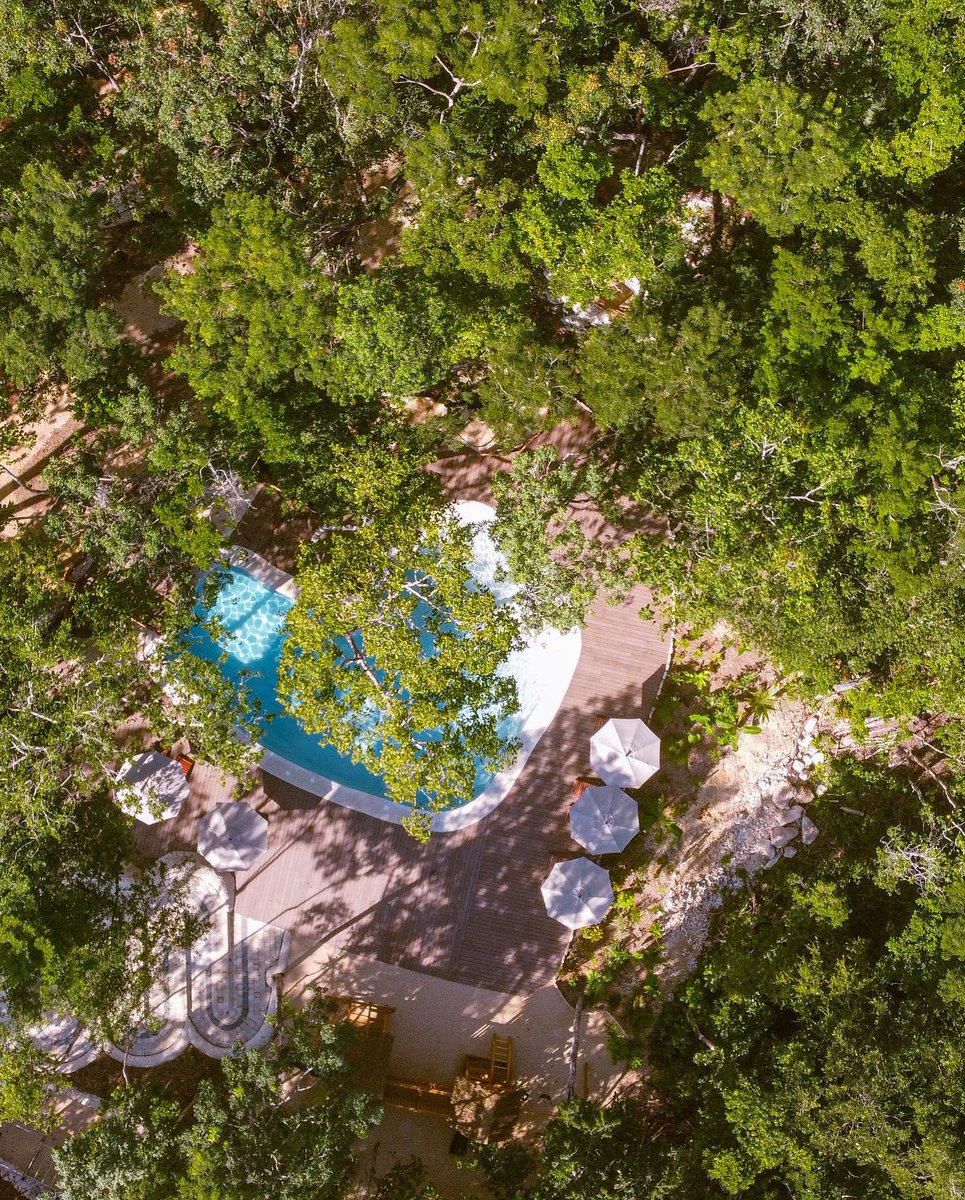 love_tulum's tweet photo. ✨GET YOUR LOT AND ECOLOGICAL HOUSE WHIT US
Green Dream Tulum has it all.
multipurpose palapa
Swimming pool
Cenote
24 hour security
And much more

https://t.co/1WZ2niLv8j

...

#development #tulum #realestate #realestateusa #realestatecanada https://t.co/pFdjKprUsZ