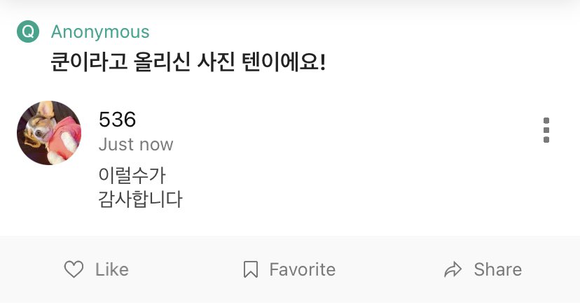 wrurvision's tweet photo. #36ask
 언젠가 이런 일이 벌어질 줄 알았어요 https://t.co/S1z45OcVHn
