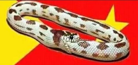 iyoba4u's tweet photo. This pic depicts the reality and true nature of the #Terrorist #TPLF and the outcome of its poisonous ideology.
#TPLFisTheCause
#TPLFmustGo https://t.co/Aq2aQcaGym