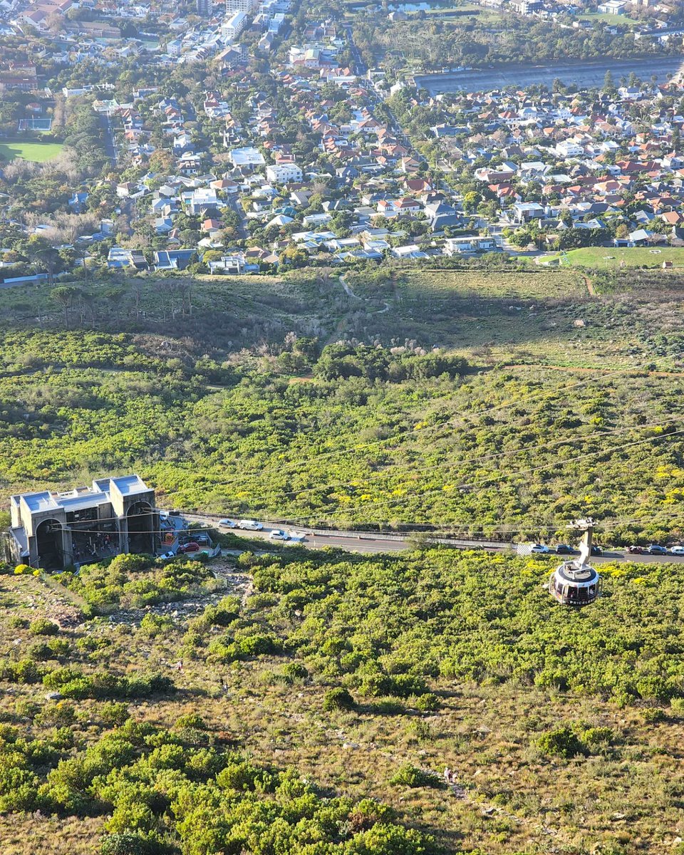 TripAdvisorCT's tweet photo. Did you know that for the month of October The Table Mountain Cableway is offering half price specials to SA residents? That means a return ticket will cost you only R200.The first trip up is at 08h30.

#travel #tripadvisor #CapeTown #tablemountain #TableMountainCableway https://t.co/iag9qiUu65