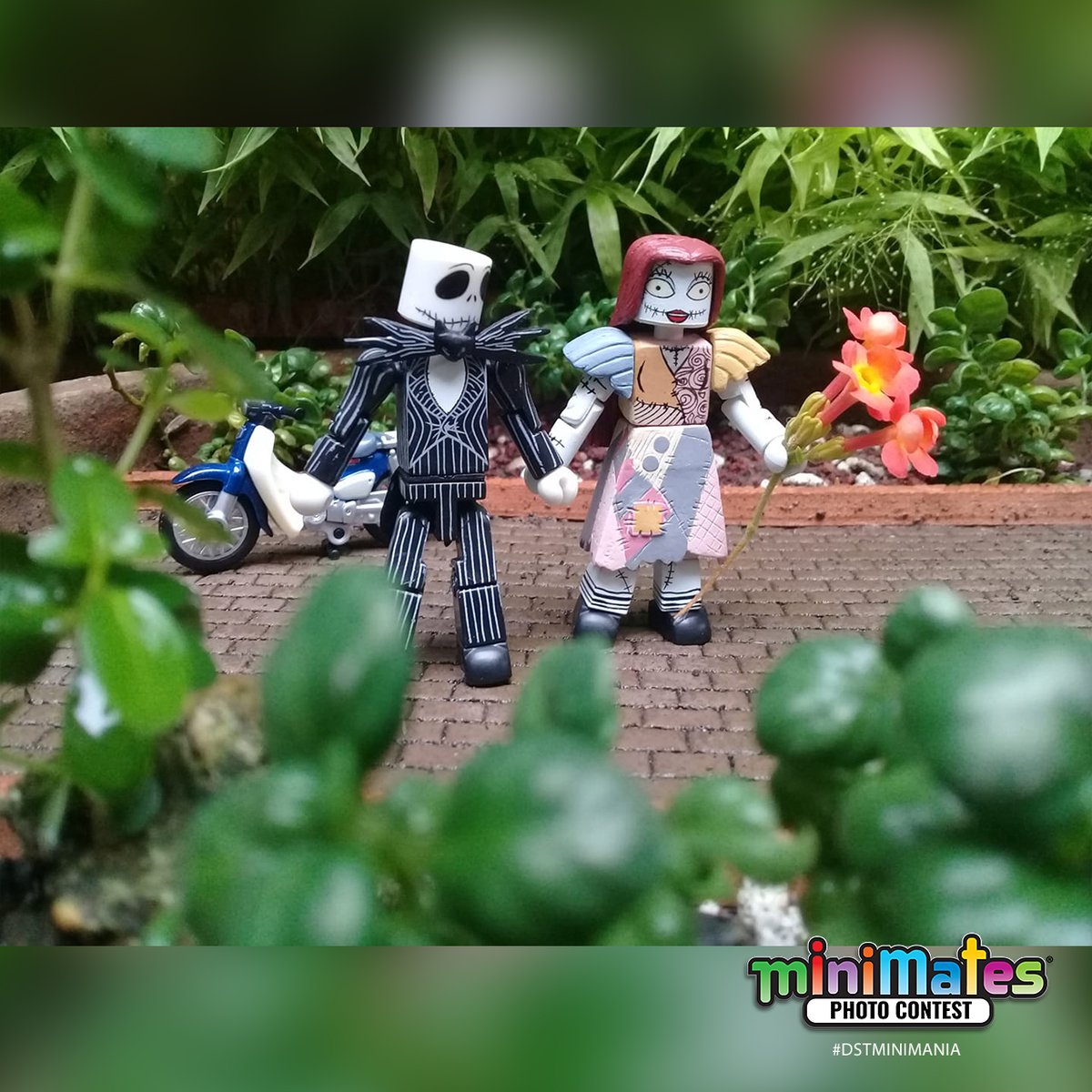 CollectDST's tweet photo. We've loved seeing your submissions for the Photo Contest! Only 6 days left to Pose, Shoot, and Submit! Take a look at these submissions from the past week.
Contest Details here: https://t.co/vLkh1aOp5i
#DSTMiniMania #MM20th #Minimates #collectDST #MM20thAnniversary https://t.co/W15TVt3VRN