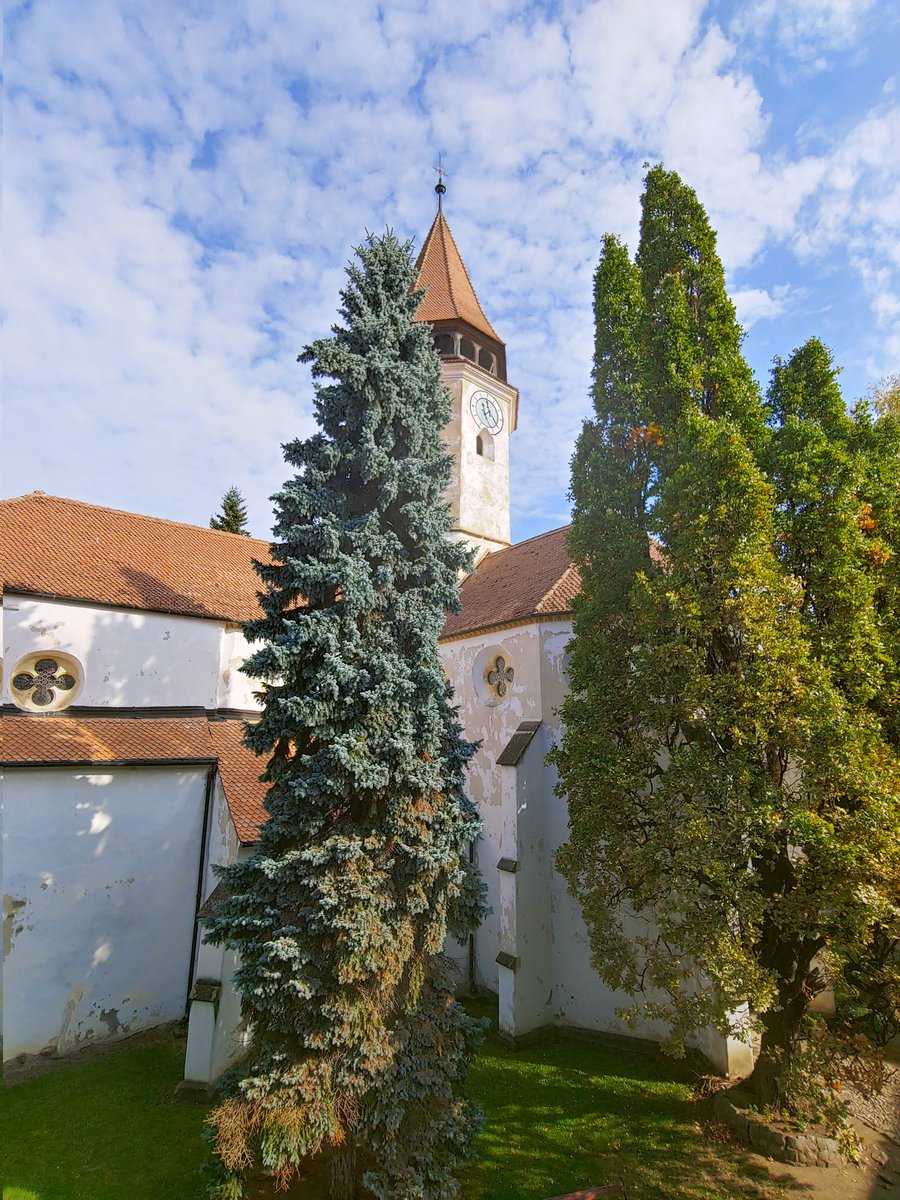 RoTourGuide's tweet photo. Church and fortress of #Prejmer
https://t.co/heRRNtgNbD https://t.co/22m8ctC6K2