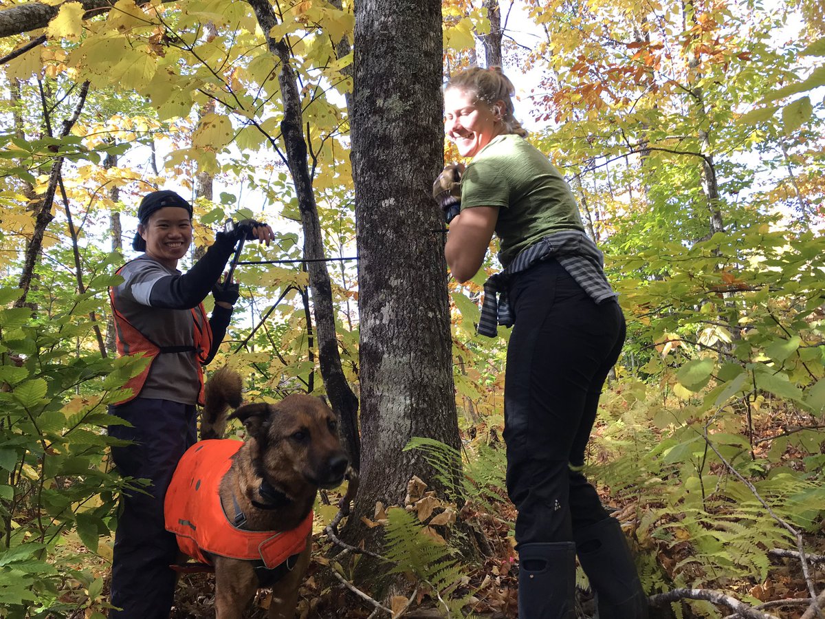 Al Freeman tweet media