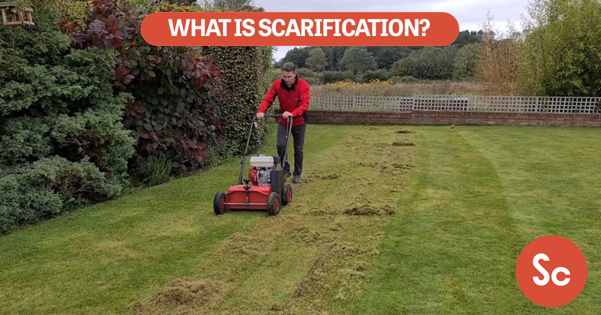 GreenThumbLawns's tweet photo. Scarification 🌱

What do you really know about scarification when it comes to your lawn?

Stephen Waring and Robert Waring explain the importance of Scarification. Watch here ➡➡https://t.co/bBO59VxjnB

Your lawn next Spring will thank you, trust us! 💚

#LawnLovers https://t.co/OaCLyfuoe0