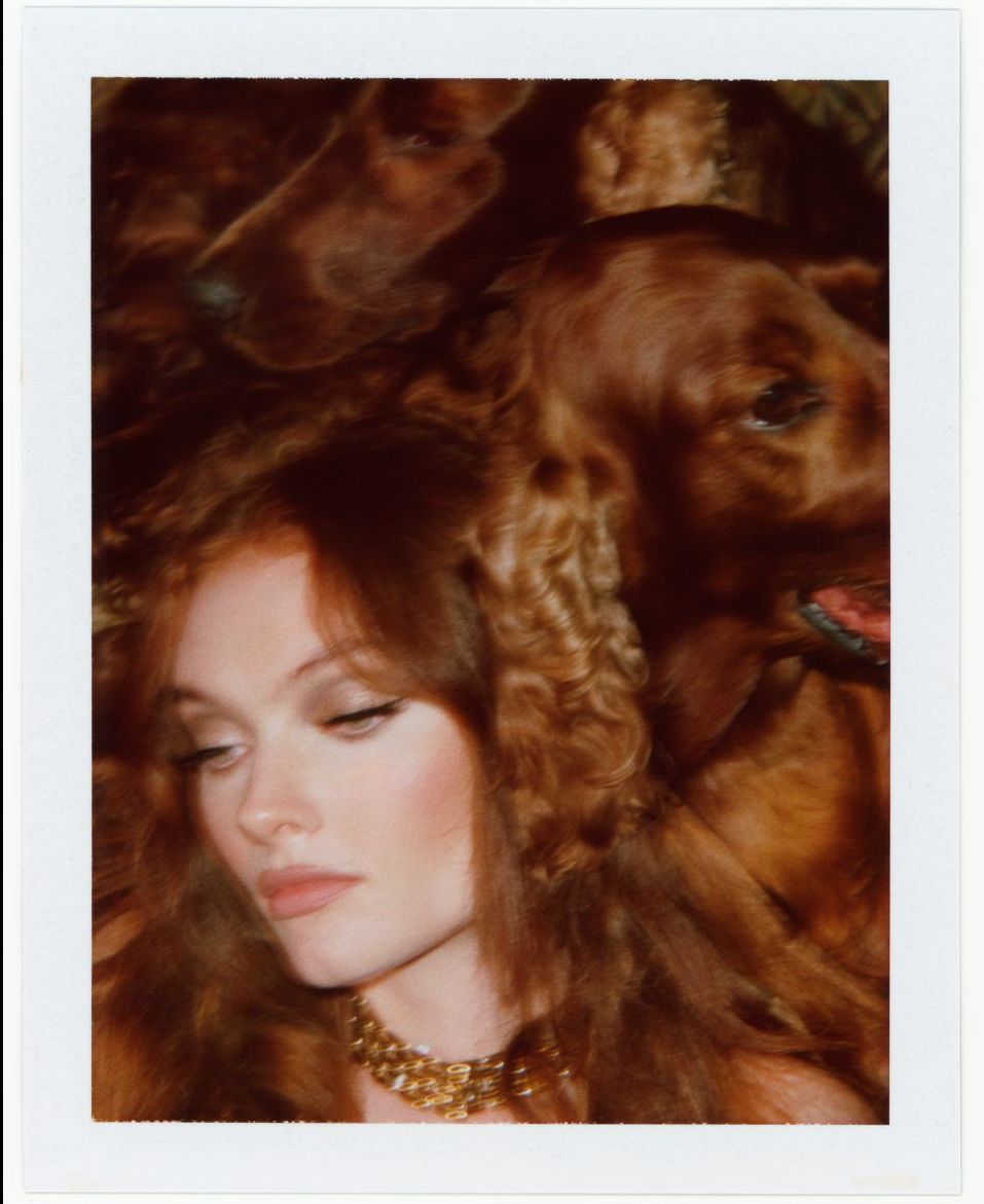 Exhibition| BITCHES is now open - mailchi.mp/ee6443823b3e/b…