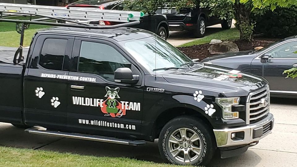 Wildlife X Team Southeast Michigan (@WildlifeXteamMI) / Twitter