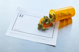 LittleHedge4's tweet photo. https://t.co/CSsWiOEiGt 
#CannabisNews #cannabisindustry #Florida https://t.co/YAuKqqM63w
