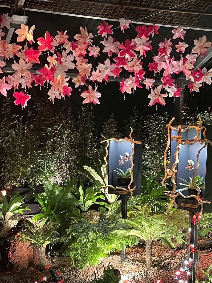 Mulhouse_presse's tweet photo. Dans le cadre des Journées d’Octobre, le public peut admirer le show floral le plus créatif de France :#FolieFlore. La 22e édition de cet évènement est centrée sur les #arbres, les cactées et les #orchidées rare. Une plongée dans un univers peu commun qui promet des découvertes https://t.co/MOoNIQw640