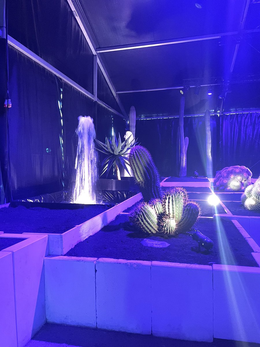 Mulhouse_presse's tweet photo. Dans le cadre des Journées d’Octobre, le public peut admirer le show floral le plus créatif de France :#FolieFlore. La 22e édition de cet évènement est centrée sur les #arbres, les cactées et les #orchidées rare. Une plongée dans un univers peu commun qui promet des découvertes https://t.co/MOoNIQw640