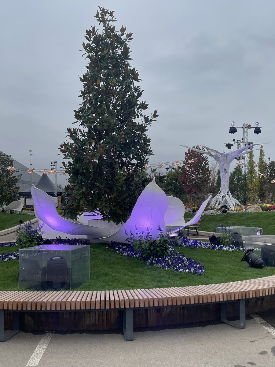 Mulhouse_presse's tweet photo. Dans le cadre des Journées d’Octobre, le public peut admirer le show floral le plus créatif de France :#FolieFlore. La 22e édition de cet évènement est centrée sur les #arbres, les cactées et les #orchidées rare. Une plongée dans un univers peu commun qui promet des découvertes https://t.co/MOoNIQw640