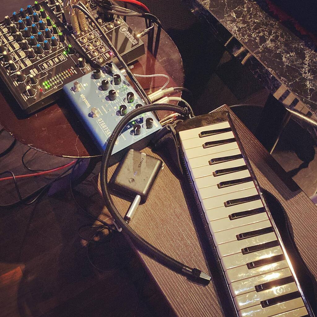 tdske's tweet photo. 今日のお品書き
その1
#hammond #pro44hv2
#strymon #nightsky https://t.co/X2Wk3D1Bcq