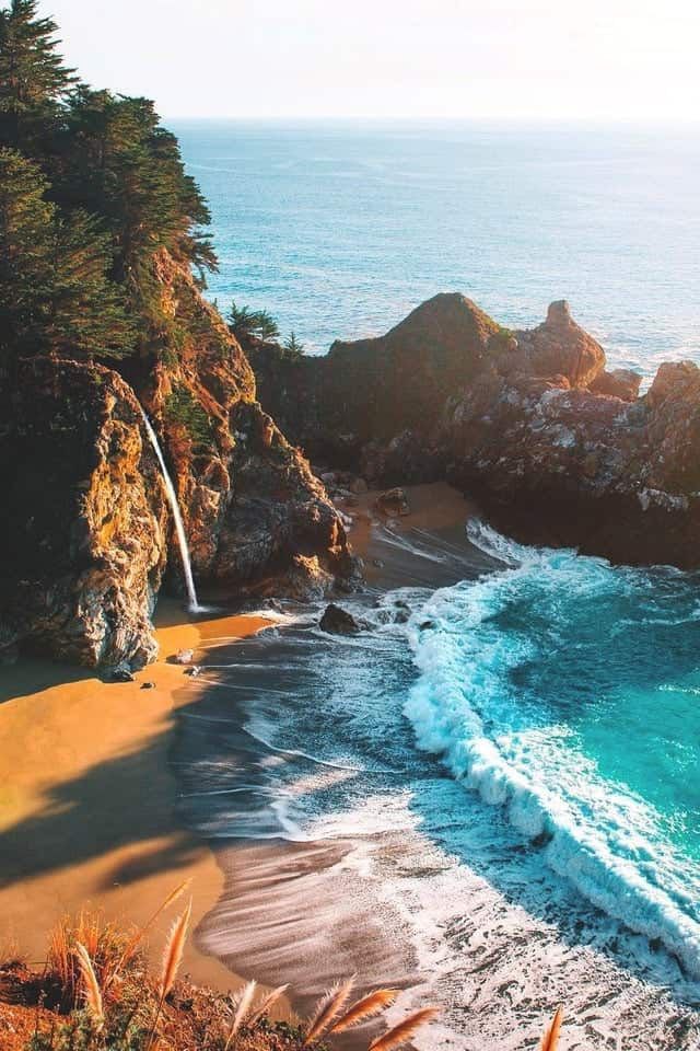 Aleksandar Mitrovic tweet media