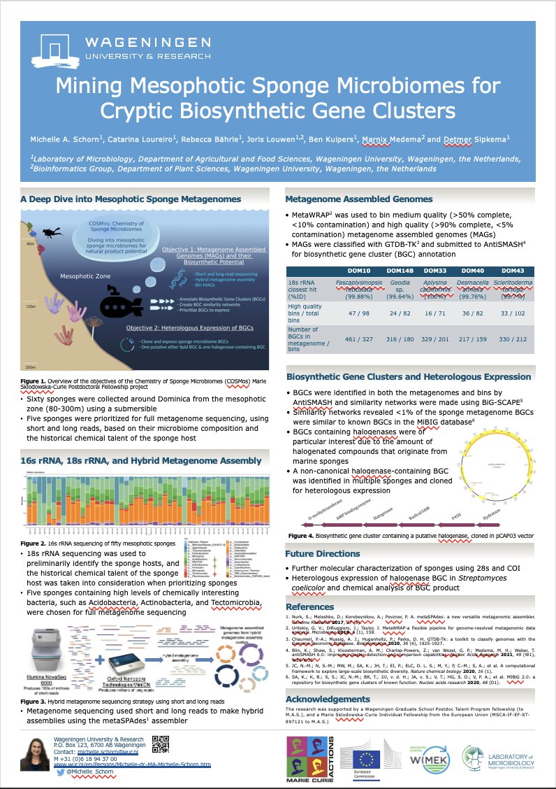Michelle Schorn (@michelle_schorn) on Twitter photo Come chat with me about mesophotic sponges, metagenomes, and biosynthetic gene clusters at my poster (80) today <a href="/sponge_2022/">Sponge_2022</a> #11worldspongeconference Thanks to all co-authors! <a href="/cat_loureiro/">Catarina Loureiro</a> @Detmer_Sipkema <a href="/marnixmedema/">Marnix Medema</a> Come chat with me about mesophotic sponges, metagenomes, and biosynthetic gene clusters at my poster (80) today <a href="/sponge_2022/">Sponge_2022</a> #11worldspongeconference Thanks to all co-authors! <a href="/cat_loureiro/">Catarina Loureiro</a> @Detmer_Sipkema <a href="/marnixmedema/">Marnix Medema</a>