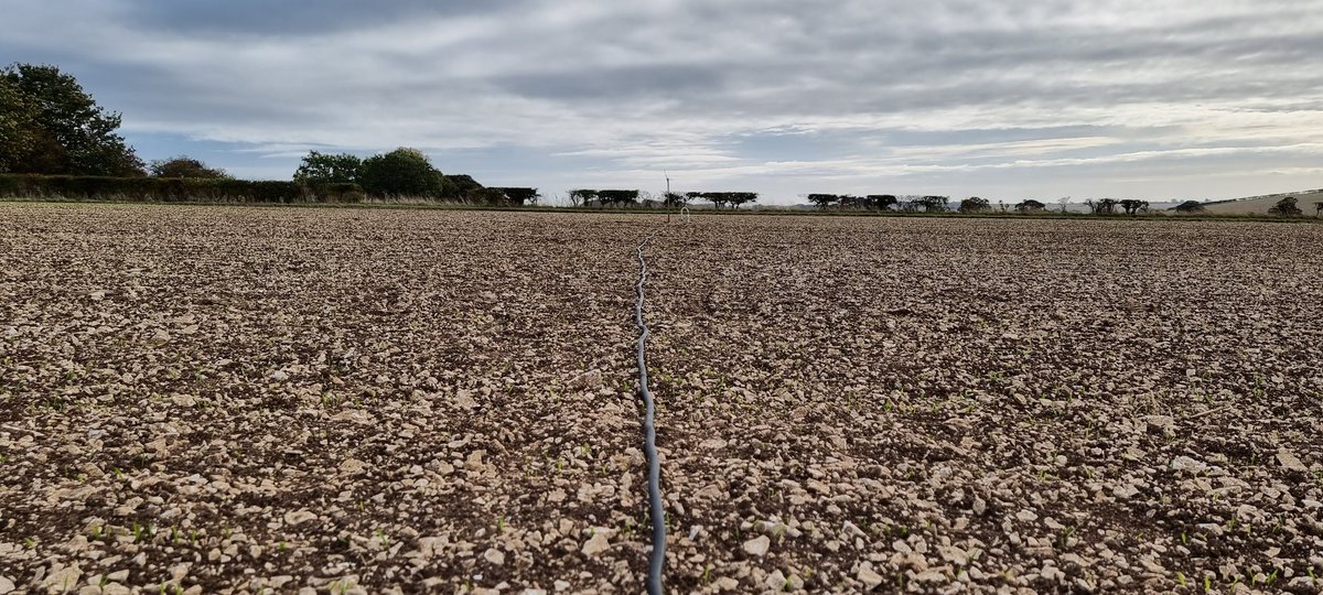 GeomorphicJosh's tweet photo. Making good progress on installing our sufficiently rabbit-proofed sensor array in a very windy #YorkshireWolds this morning - great effort from #TeamSoil https://t.co/itxbYpSxfl