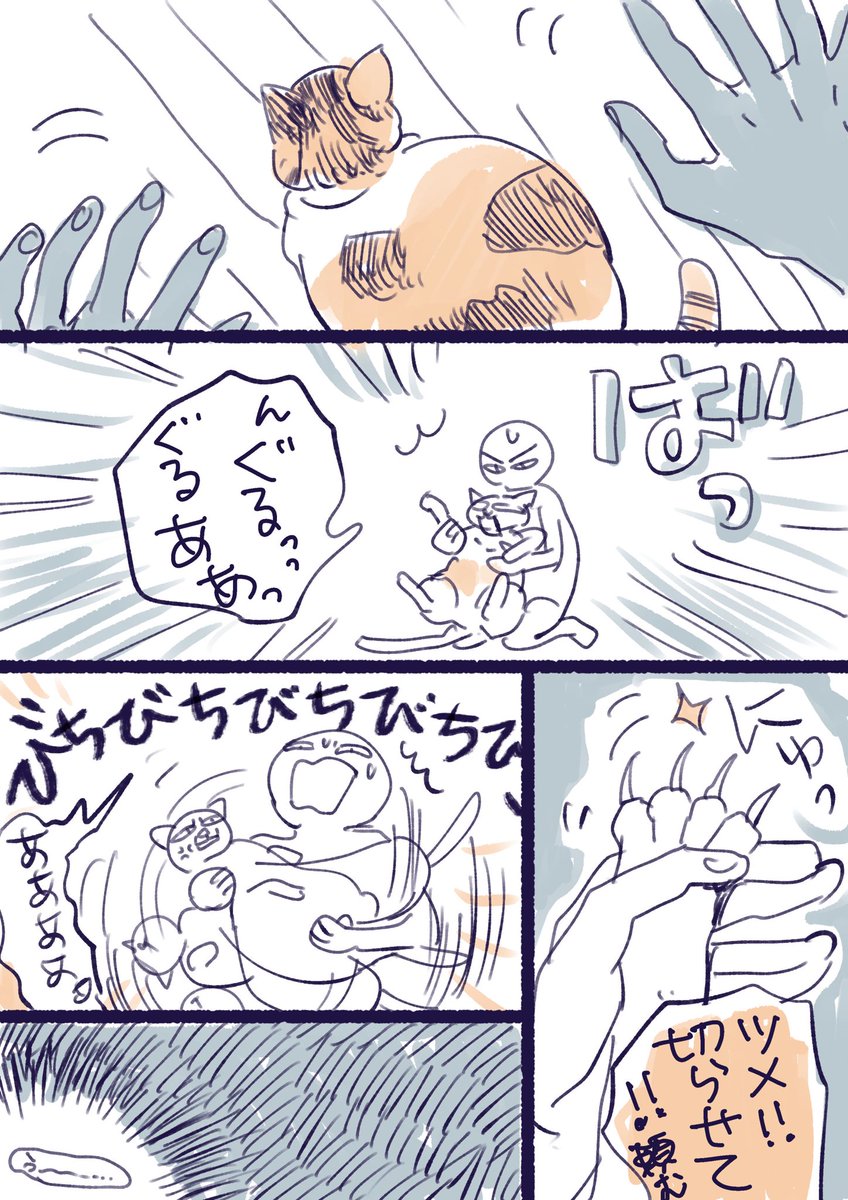 昨日猫の爪切りチャレンジした時のことです
気が狂ったように嫌がって爪切らせてくれません。元々抱っこも好きじゃないからなあ🥲

でも切り替えが早くて気の良い猫です 