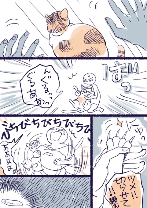昨日猫の爪切りチャレンジした時のことです
気が狂ったように嫌がって爪切らせてくれません。元々抱っこも好きじゃないからなあ🥲

でも切り替えが早くて気の良い猫です 