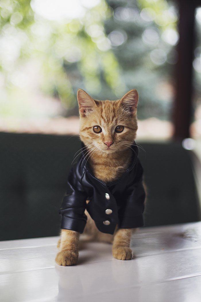 siwan_animals's tweet photo. https://t.co/uJdbCXyBO3