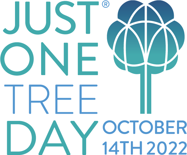 St Chris Junior School tweet media