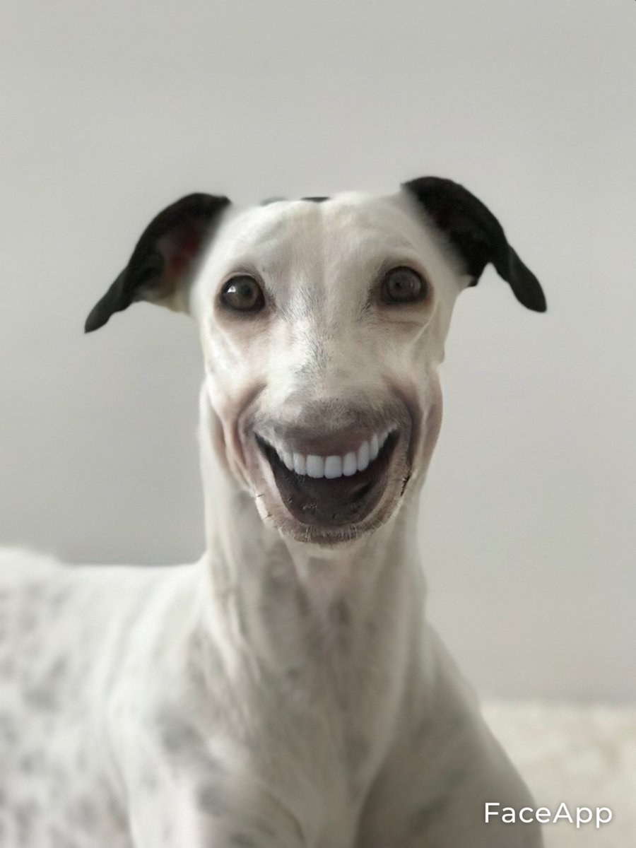 Tilda24416's tweet photo. When AI gets confused.. @faceapp_ai https://t.co/iA0yJqQhvl