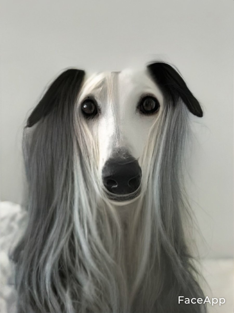 Tilda24416's tweet photo. When AI gets confused.. @faceapp_ai https://t.co/iA0yJqQhvl