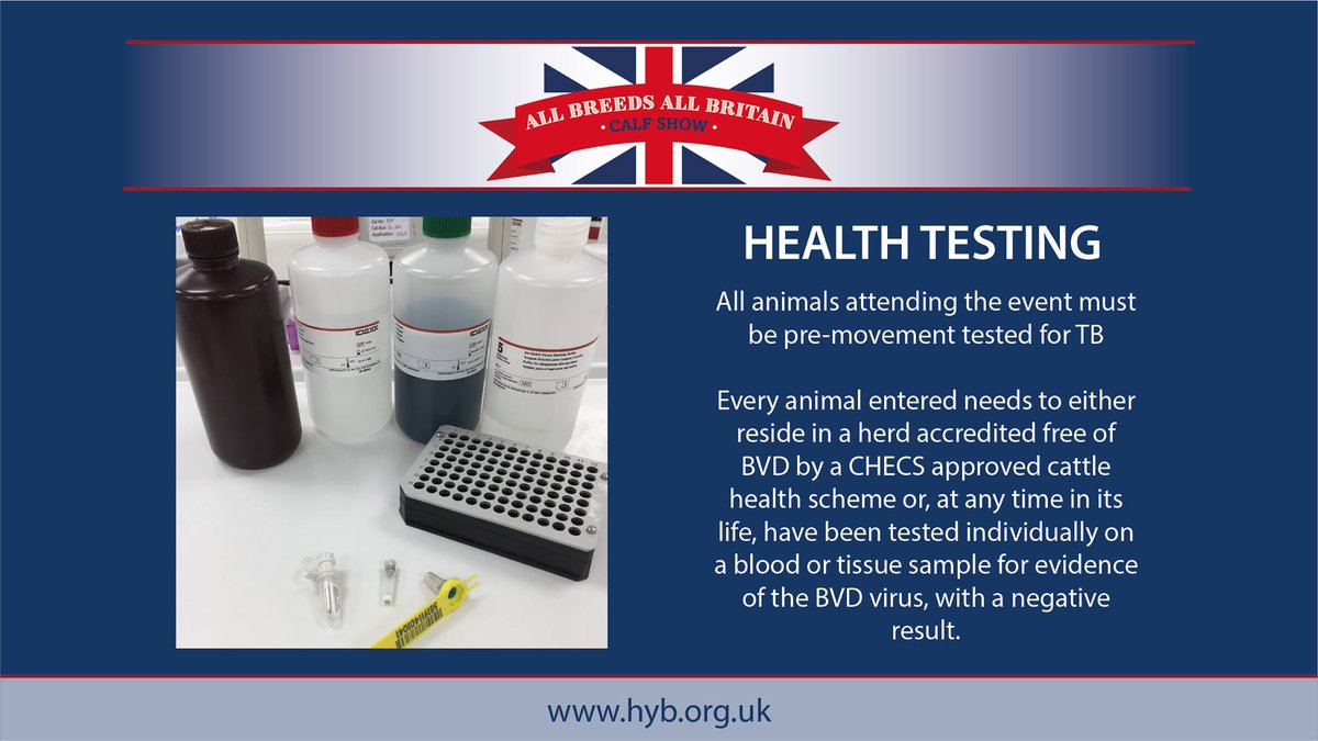 ABAB Calf Show tweet media