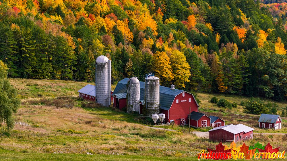 AutumnVermont's tweet photo. Looking down to the Hillside Acres Farm in Barnet Vermont

#vermont
#autumn
#newenglandfallfoliage
#fall 
#foliage
#fallfoliage 
#fallphotography
#vermontfall
#vermontfoliage
#fallinvermont https://t.co/sIfM0VFXUq