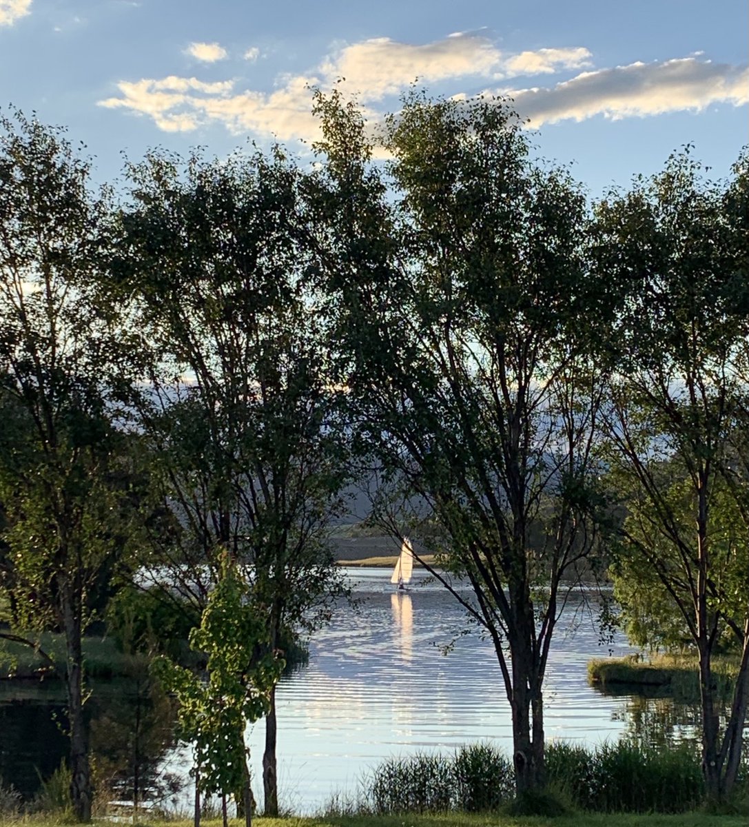 michaelkeech's tweet photo. Tell me where …….  ⁦⁦@ThingsCanberra⁩ https://t.co/8WkeAON0x8