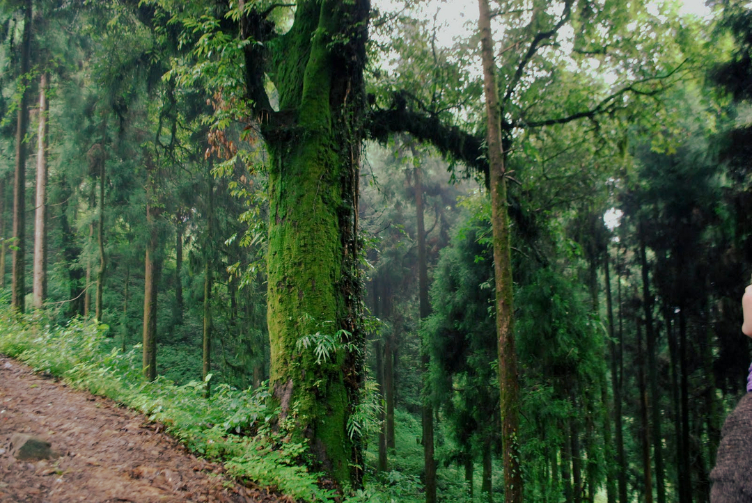 evolving_jason's tweet photo. Sanga Choling Monastery - Sikkim #nature #naturephotography #naturelovers #naturegram #naturephoto #natureporn #beauty #happy #landscape #inspirationalquotes #instadaily #instagood #inspiration #motivation #quote #selfcare #selflove #inspirational #dailyinspiration #hairinspirati https://t.co/lT1xc0AWhj