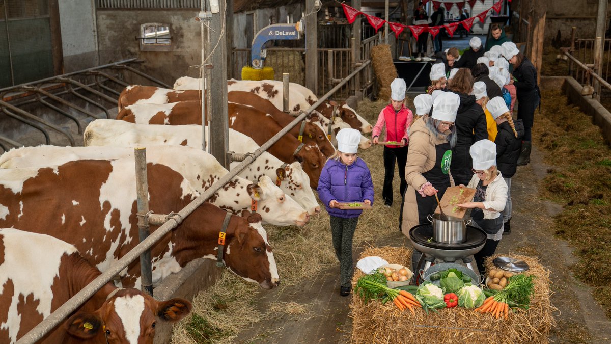 Kinderen koken tussen de koeien tijdens de @DutchFoodWeek bij Boerderij Straathof. Samen met studenten uit Zwolle genieten ze van een zelfgemaakte lunch🥕🫑🥛

#DFW2022