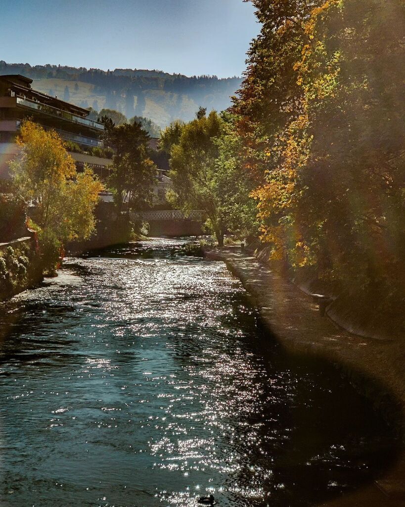 TomMcAdam's tweet photo. Autumn sun

#pontarlier #hautdoubs #autumn #photooftheday #photography #instadaily #instamood #igers #tomtakesphotos https://t.co/zzO34qWMA6 https://t.co/RKv3gDlIGU