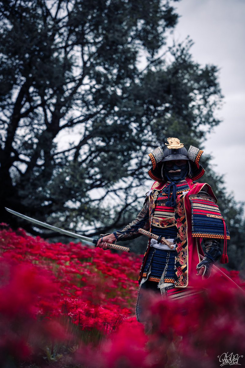 bboyBucky's tweet photo. 彼岸花の時期なので。 弐
#自撮り
#甲冑
#侍
#彼岸花 https://t.co/NtXdJRreOR