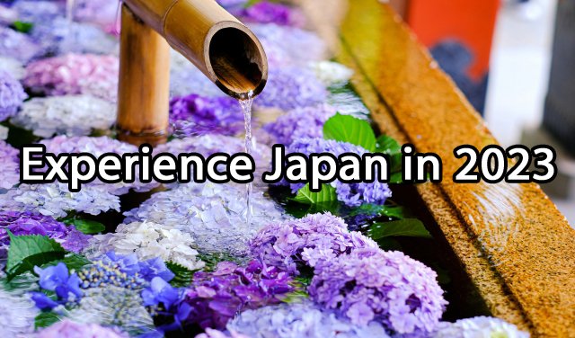 Borderlink's tweet photo. Hello @UAlbanyJSA !
Interested in teaching in Japan?
We'll be hosting an orientation session on Thursday, October 27th at 8:00 PM (EDT). Please join us! #ualbanyjsa #Japan #Borderlink #Teaching #International #SUNY #JSA https://t.co/YkR6frb54n