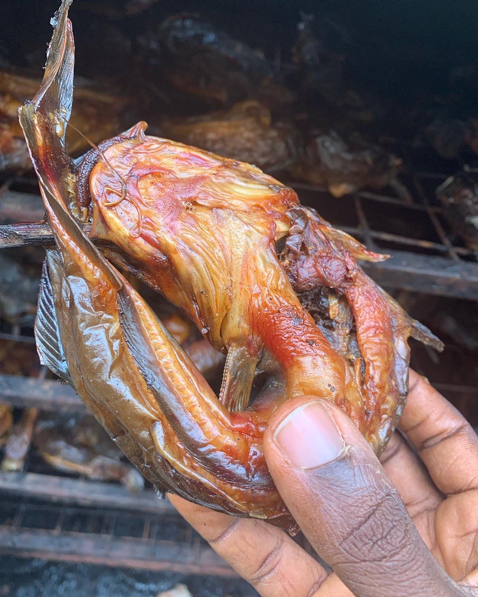 Reachdev_farms's tweet photo. What would you like to eat with this? #AbujaCommunity #teni #AbujaTwitterCommunity https://t.co/MHjnG5llja