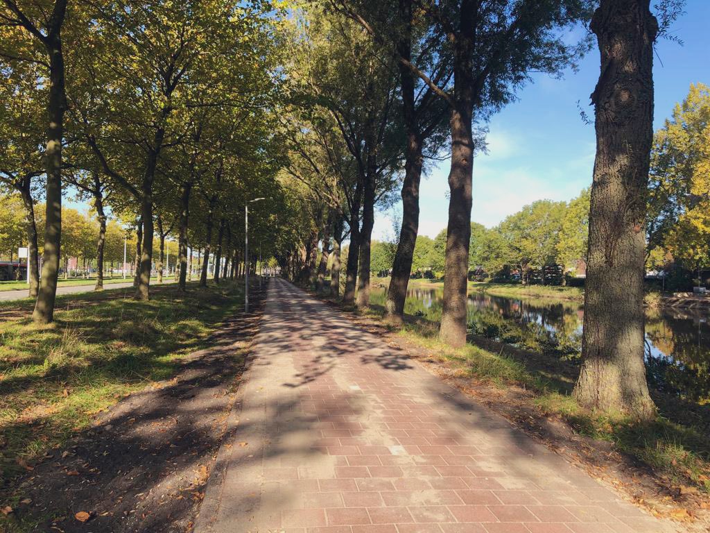 Msteffenswater's tweet photo. Het fietspad langs de Van HeuvenGoedhart Laan ligt er weer mooi bij in het zonnetje! Na veel klachten over wortelopdruk is het grondig aangepakt door de mannen vd Waterwolf en halfsteens gestraat ipv in lintlagen, waarmee de veiligheid vd fietsers enorm verbeterd is! https://t.co/3DE261QJY2