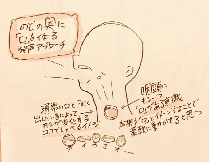 声帯を口とイメージし
ソコでしゃべる(歌う)。
この前自分の中でこのアプローチ
分かりやすいかもと思った
もちろん口腔や鼻腔の響きも大事
因みに合ってるかとかは分からない
発声はピンとくる共通の教科書がないから自分がピンとくるアプローチを選ばないといけないのが難しいよね 