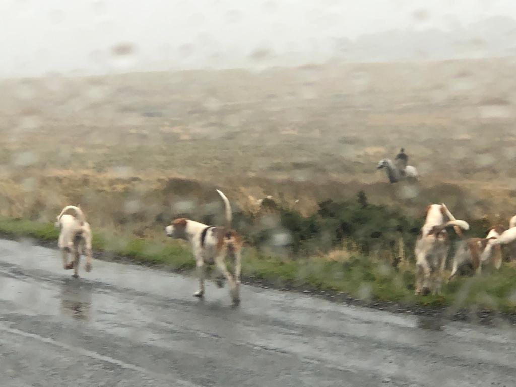 NeaafNw's tweet photo. We have a report of the Cumberland Horse and Hounds out in Uldale …POWs Hill Area. #Cumbria #uldale #Carlisle 👀 report if seen hunting the fox. 999. Note location. 👀🆘🦊 https://t.co/awc3Rhzn6Q