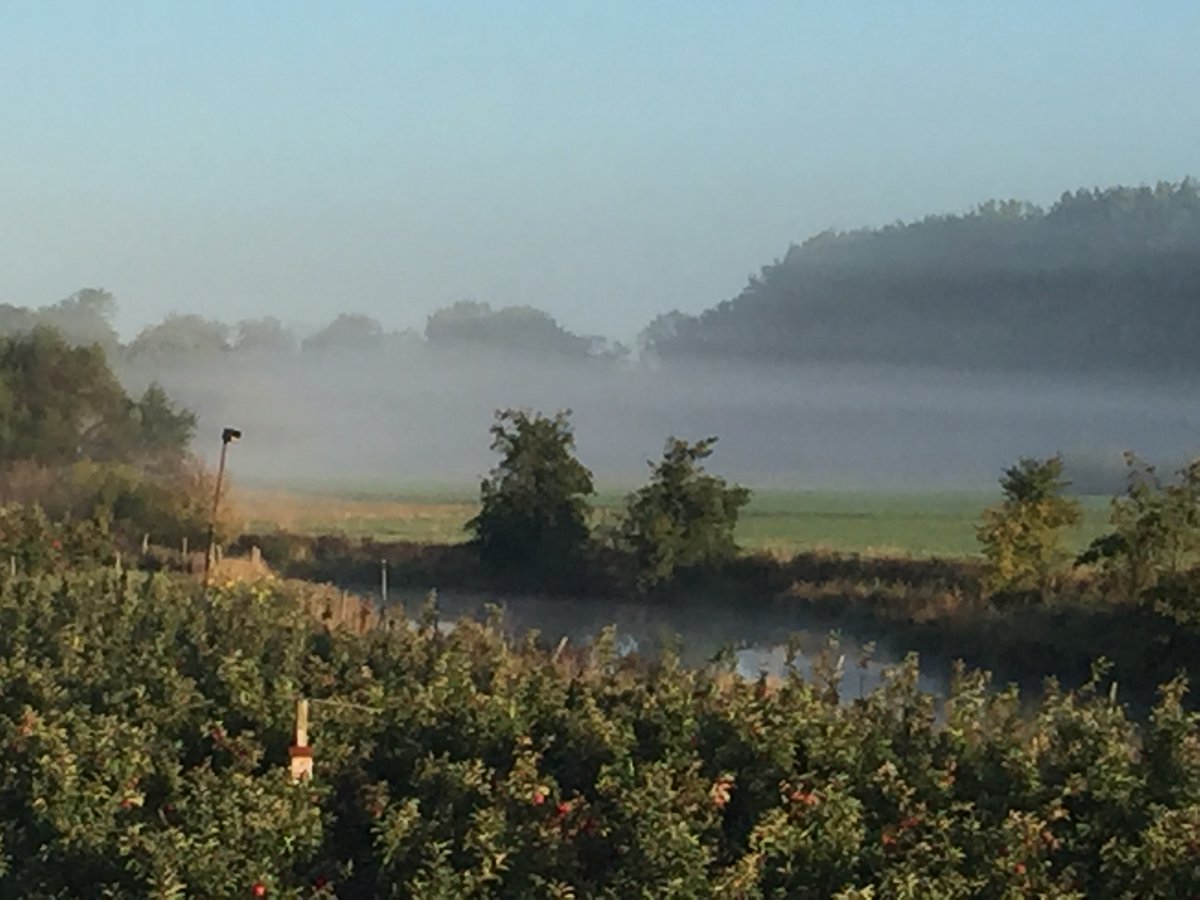 VollhoefnerWald's tweet photo. Der Vollhöfner Wald heute morgen im Nebel eingehüllt 
Was für ein schöner zauberhafter Wald 🌳🦉🐜🦇
#Völlibleibt https://t.co/PB5XPrMqhy