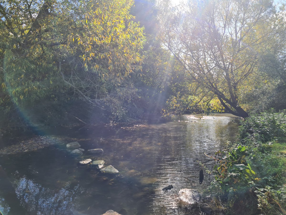 H_notts's tweet photo. Fantastic training by @Riverflies @cotsriverstrust in the #Evenlode this weekend @WildOxfordshire @Earthwatch_Eur despite some unwanted guests #signalcrayfish ๐ฆMonitoring #Riverflies in the Evenlode is another fantastic addition to the #CitizenScience here. https://t.co/rx54dN4Q3s