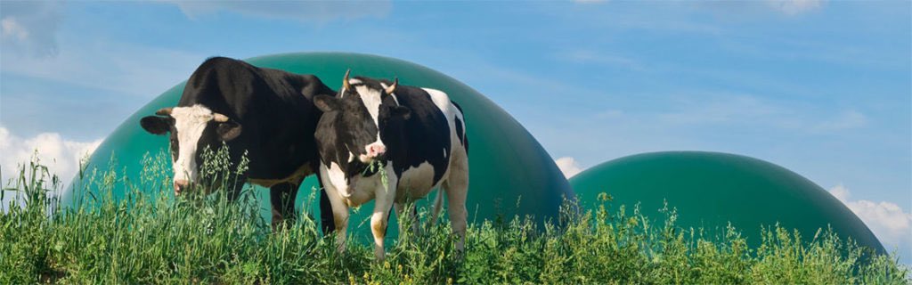 L’unité de #méthanisation agricole 🐄🚜 Agriméthane en Ouche injecte ses 1er m3 de #gazvert dans le réseau <a href="/GRDF/">GRDF</a>  près de L’Aigle ! Elle va couvrir les besoins annuels  en #énergie de 3083 🏠 et évitera 6956 t de CO2. C’est la 25e unité dans <a href="/RegionNormandie/">Région Normandie</a>