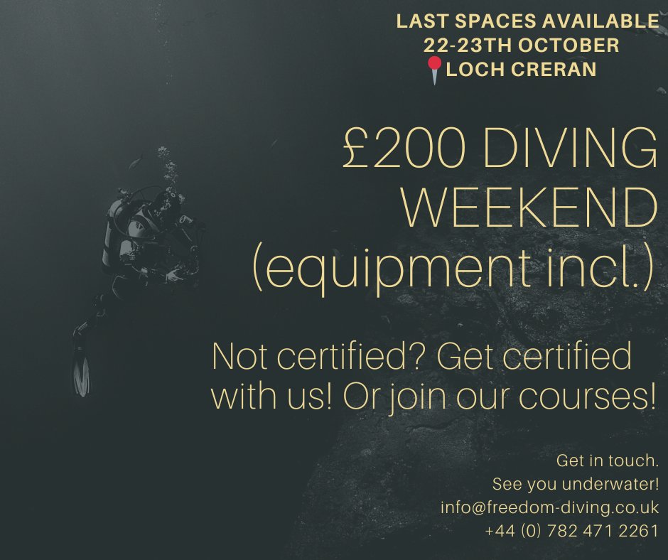 DivingFreedom's tweet photo. Don't wait for other people to tell you how beautiful Scuba Diving is. Join us and discover it yourself! https://t.co/qfiKi6kl4d